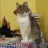Отзыв от Юлия Бурова